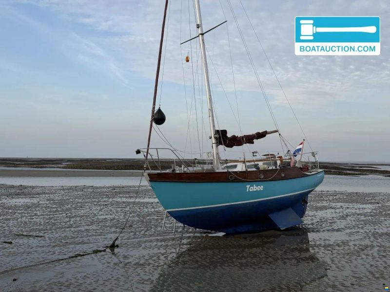 Rossiter Pintail 27