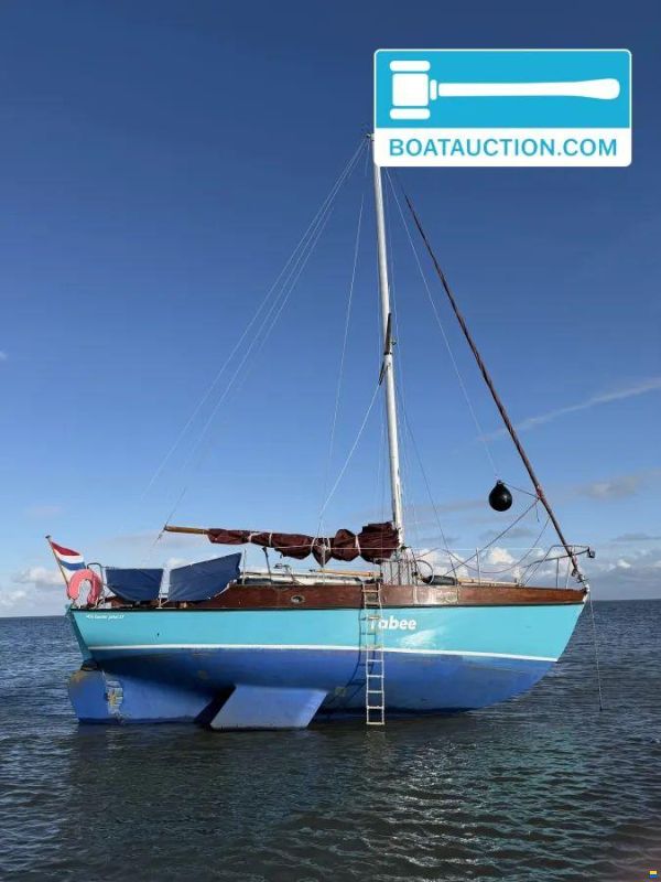 Rossiter Pintail 27