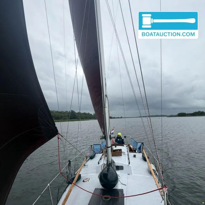 Rossiter Pintail 27