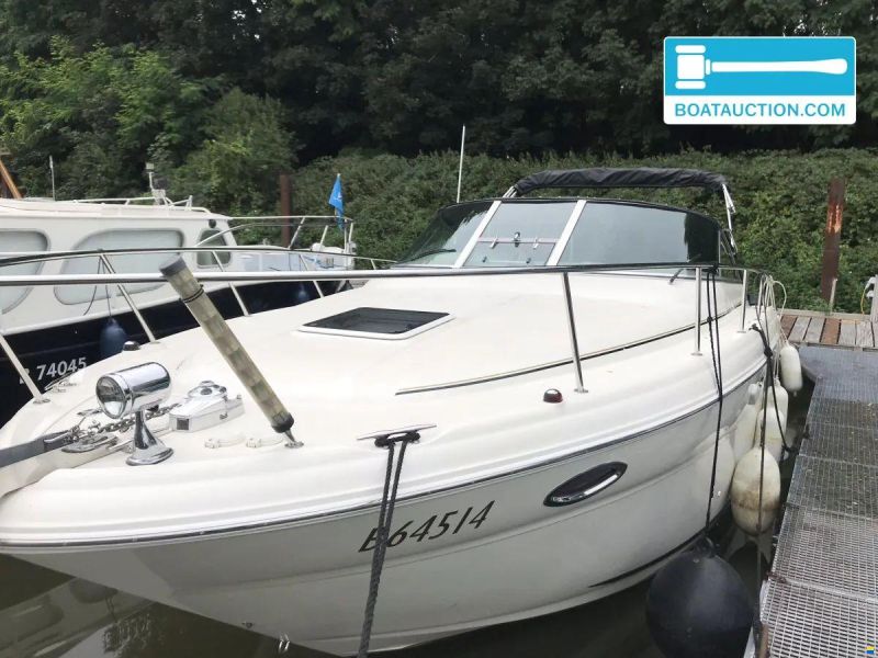 Sea Ray Amberjack 315