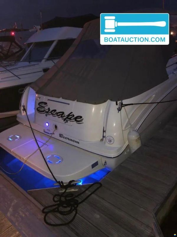 Sea Ray Amberjack 315