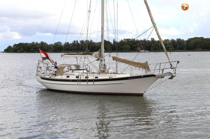 Cabo Rico 38