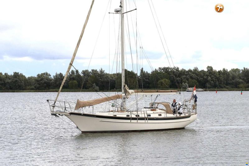 Cabo Rico 38