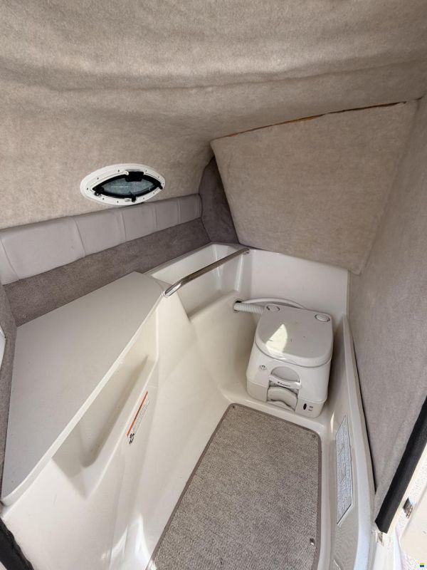 Stingray 235 DR