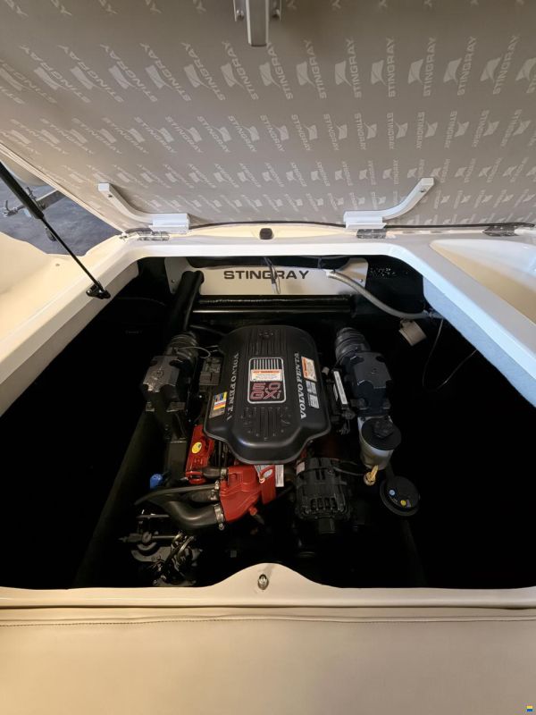 Stingray 235 DR