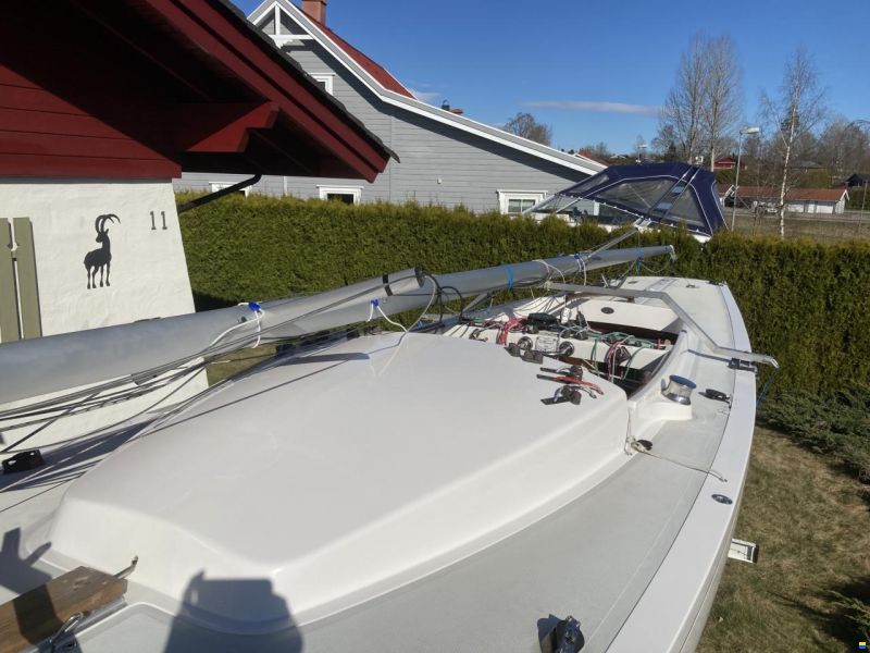 Börresen Dragon