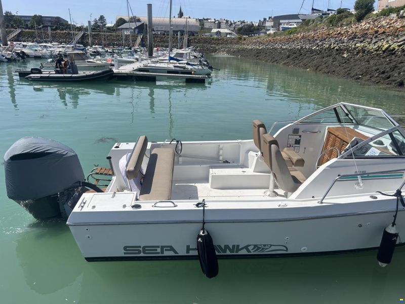 Chris Craft Sea Hawk