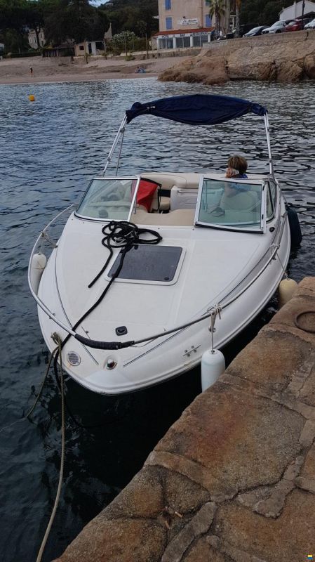 Sea Ray 190cc Signature