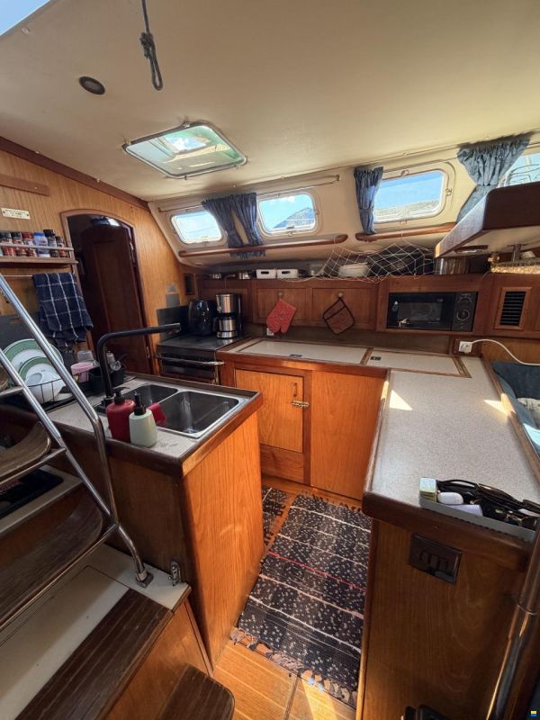 Hunter 460