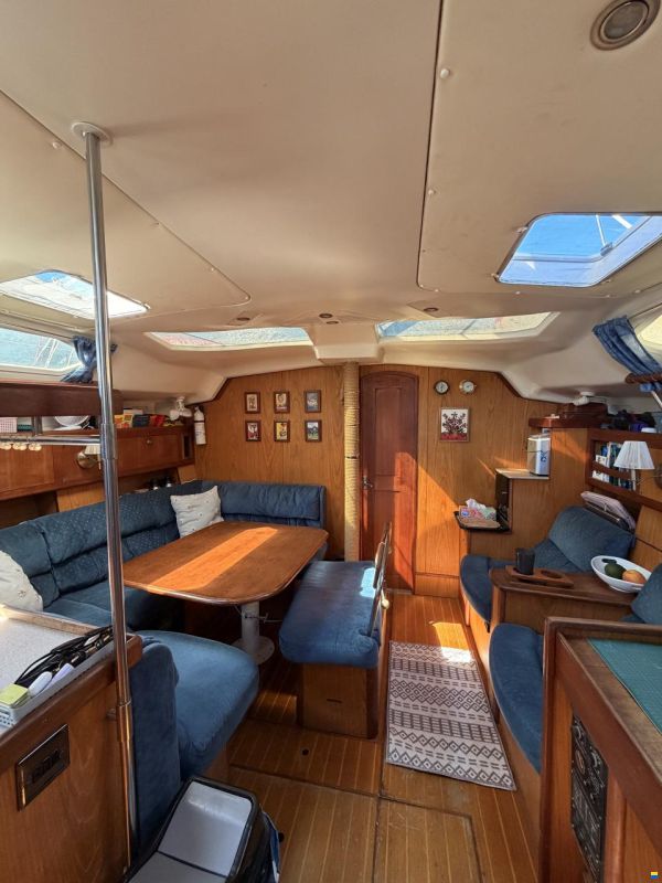 Hunter 460