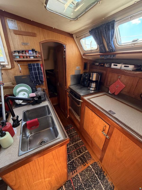 Hunter 460