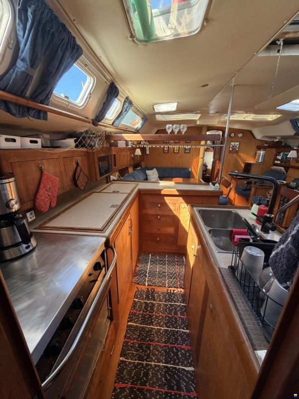 Hunter 460