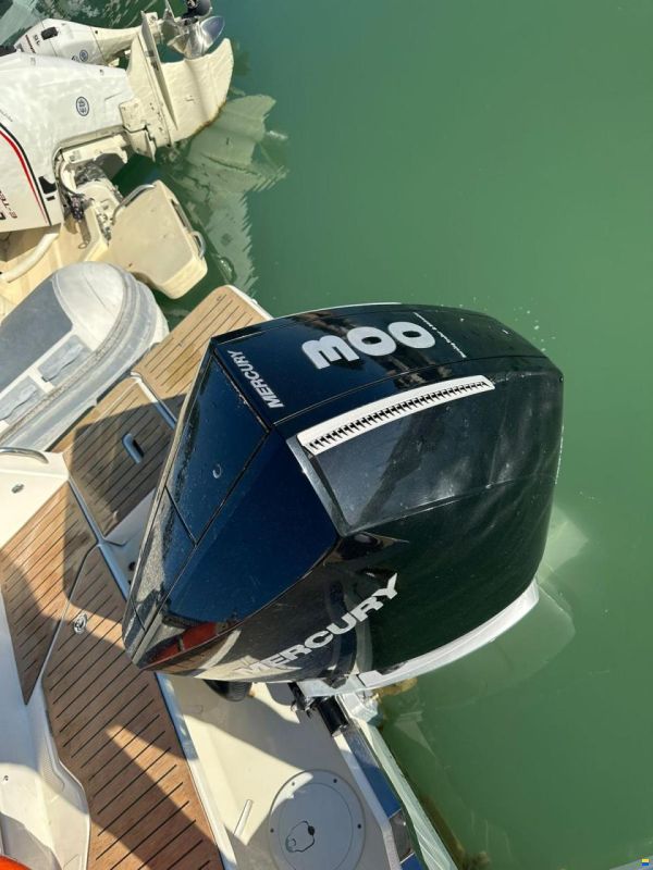 Quicksilver Activ 805 Cruiser