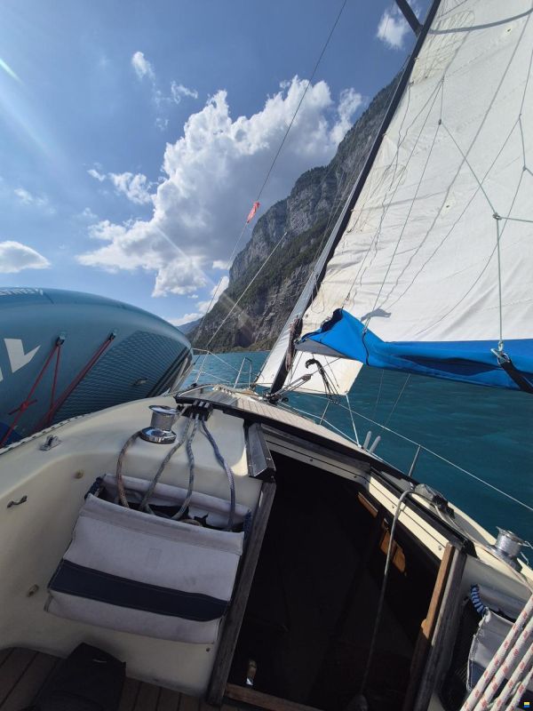 Bavaria 890