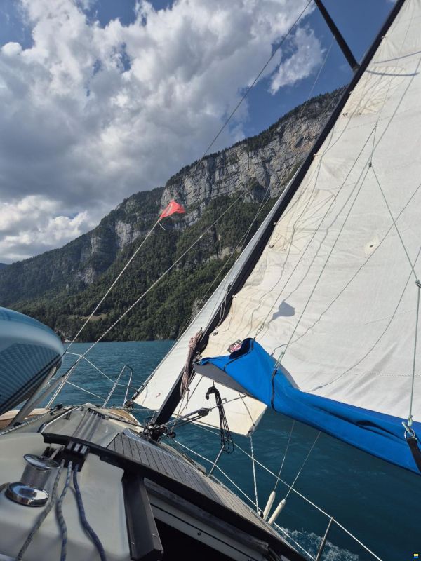 Bavaria 890