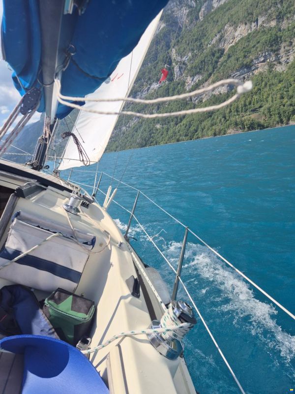 Bavaria 890