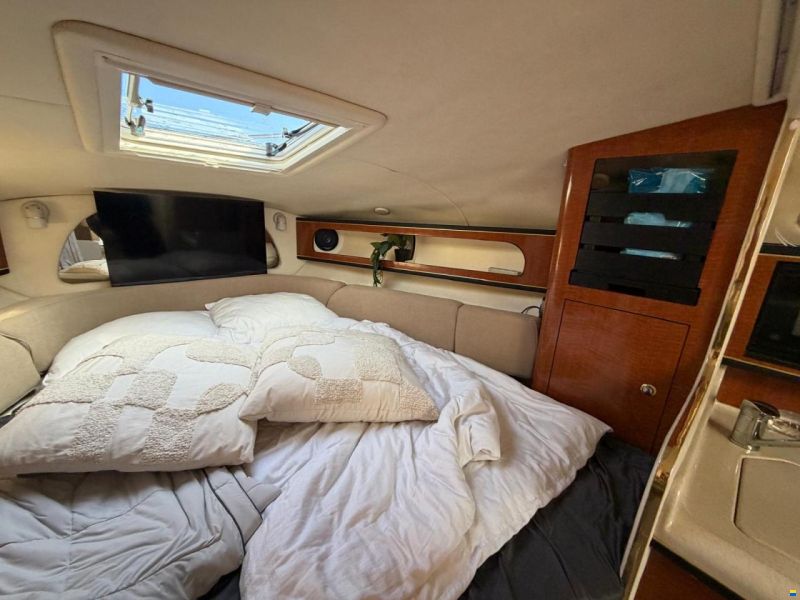 Sea Ray 315 Sundancer