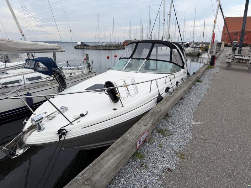 Sea Ray 315 Sundancer