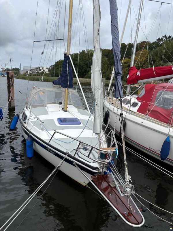 Gouteron Ghibli 22