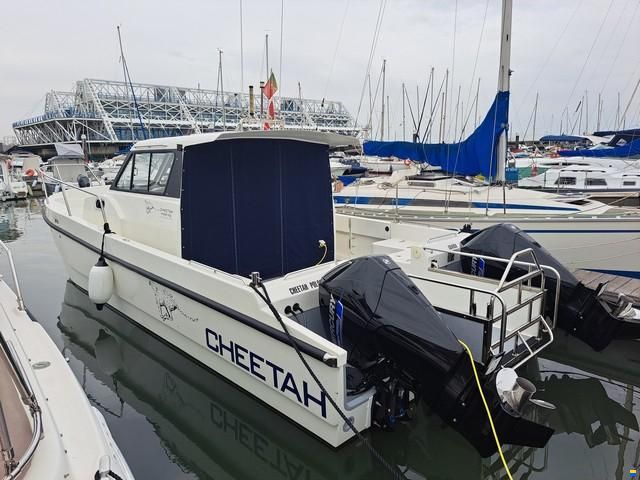 Cheetah 9