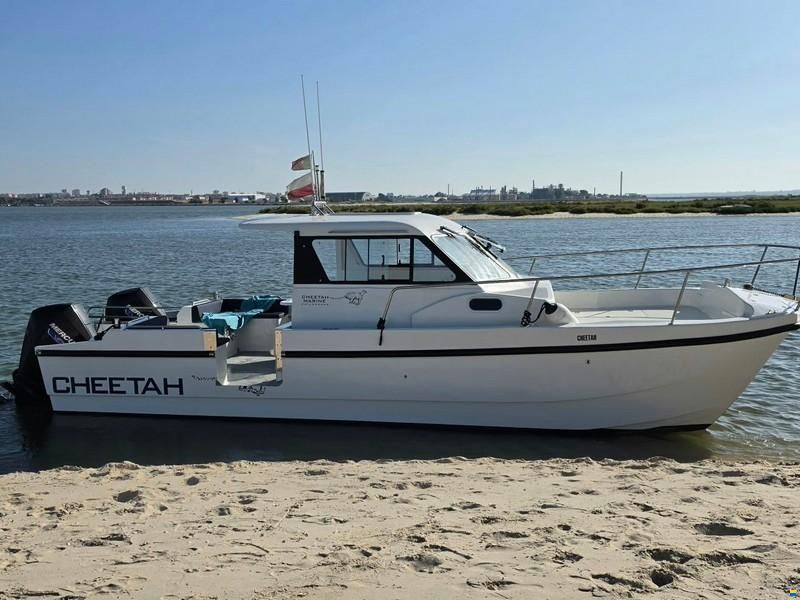 Cheetah 9