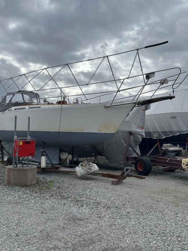 Arcona 36