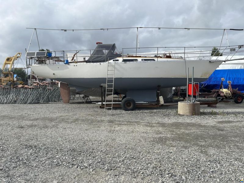 Arcona 36