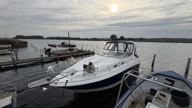 Larson 260 Cabrio