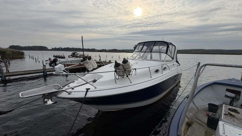 Larson 260 Cabrio