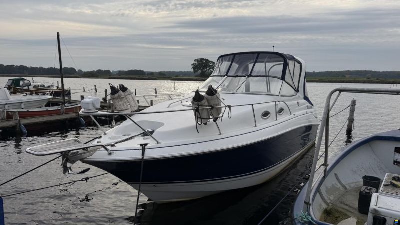 Larson 260 Cabrio