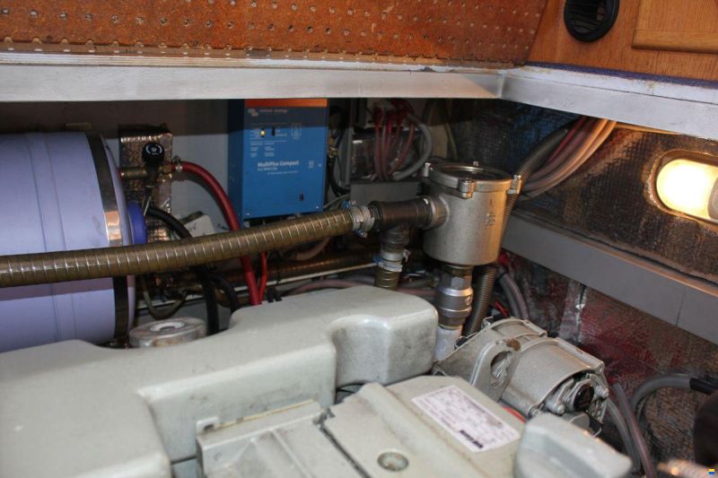 Gruno 38 Elite Royal