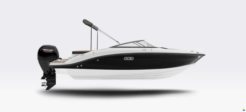 Sea Ray 190 SPOE