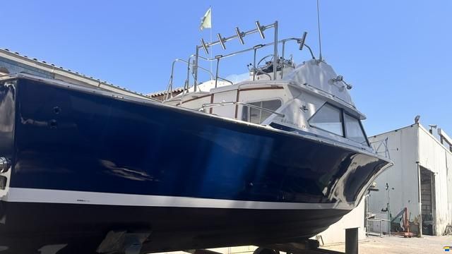 Bertram 28 Fly