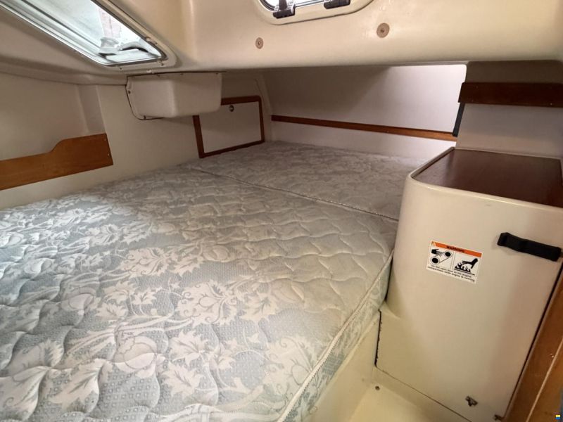 Catalina 320