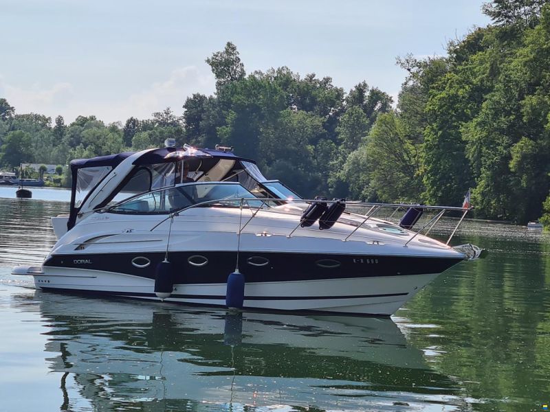 Doral 31 310 Intrigue