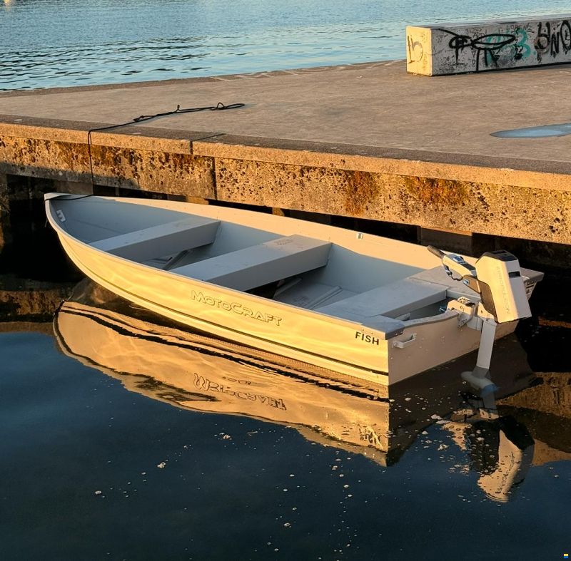 Motocraft Fish 400