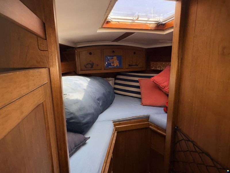 Wauquiez 43 Amphitrite