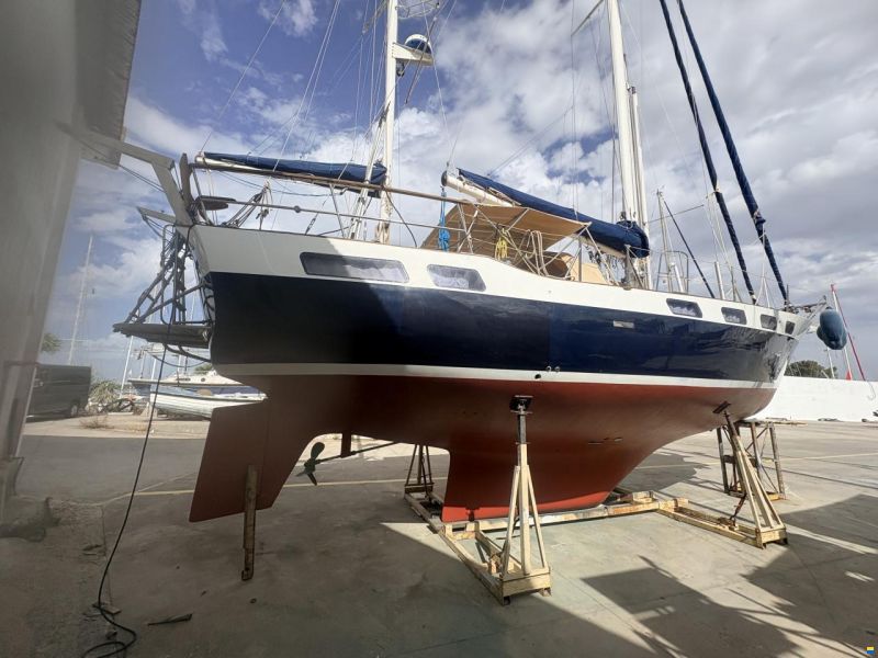 Wauquiez 43 Amphitrite