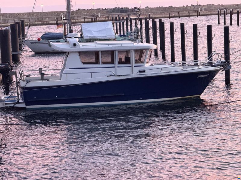 Minor 31