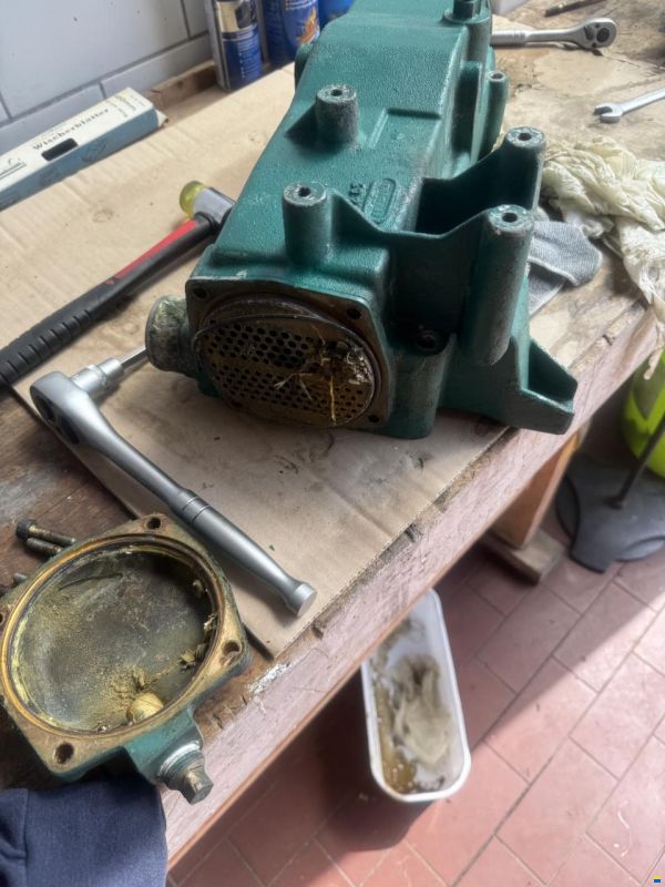 Minor 31