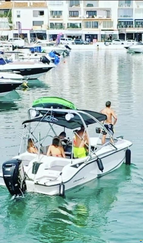 Bayliner Element M17