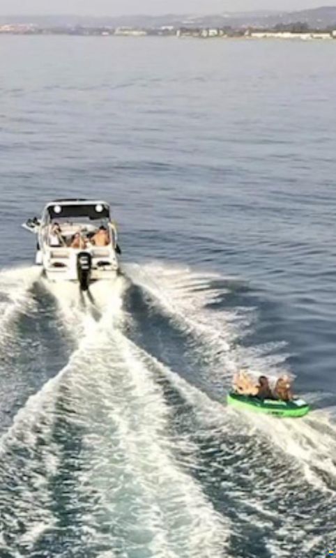 Bayliner Element M17