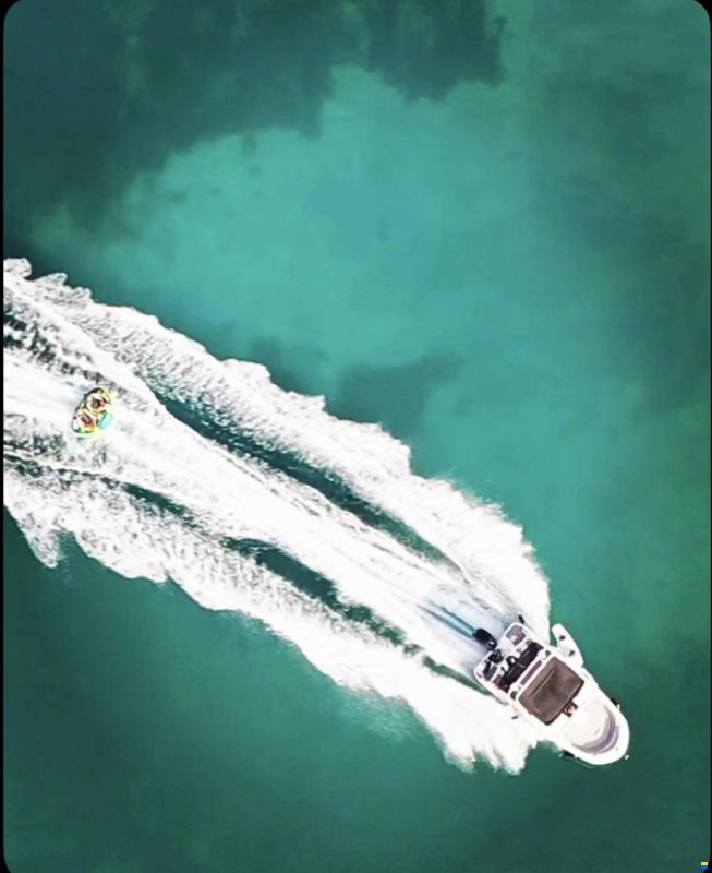 Bayliner Element M17