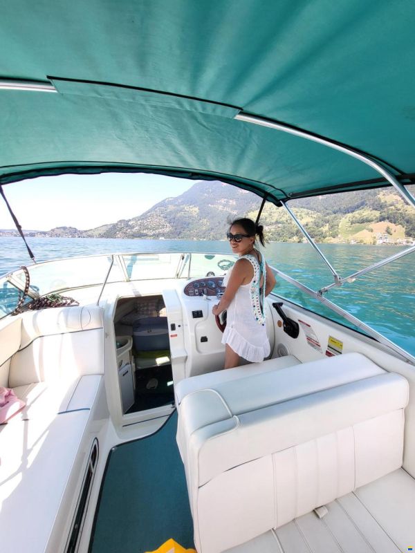 Sea Ray 240 DA Sundancer