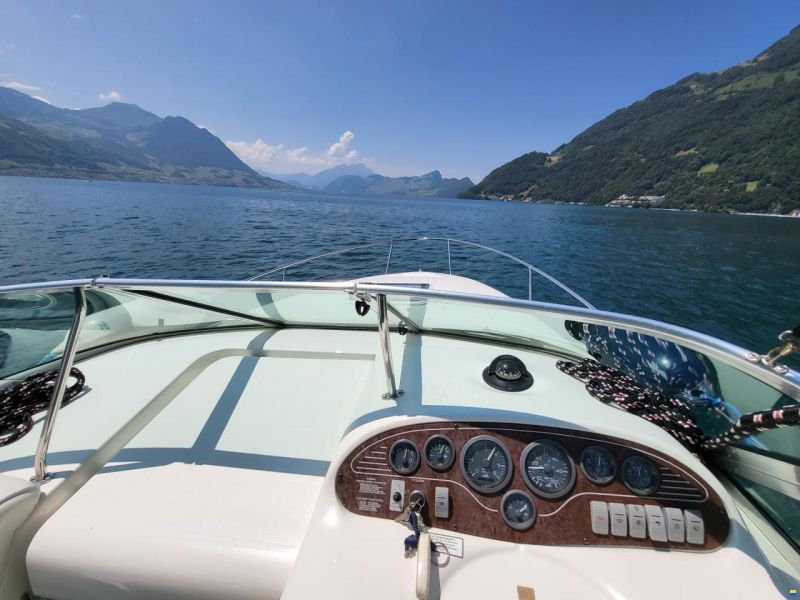 Sea Ray 240 DA Sundancer