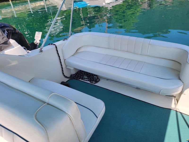 Sea Ray 240 DA Sundancer