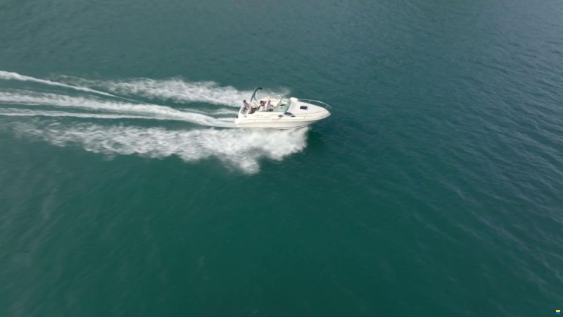 Sea Ray 240 DA Sundancer