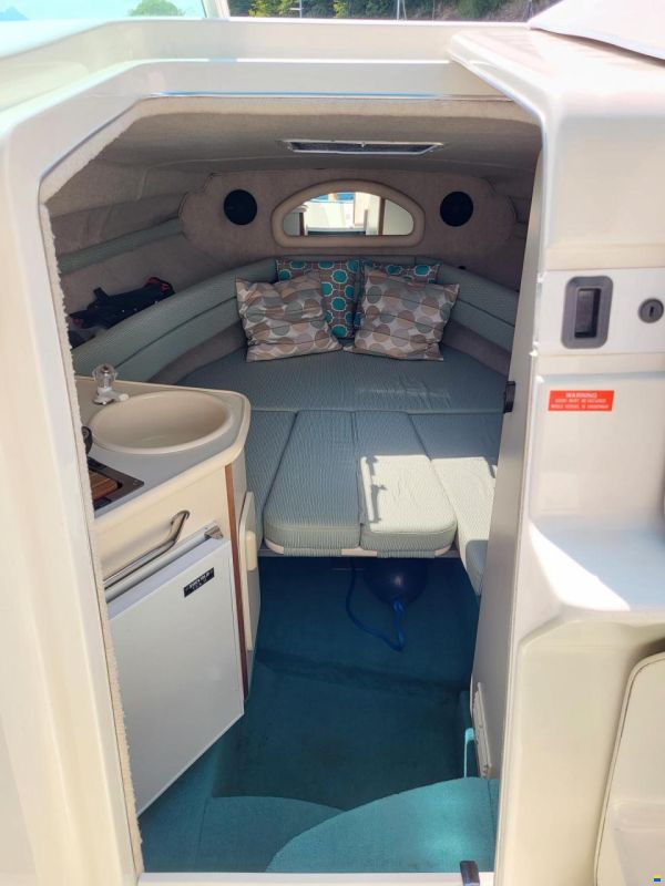Sea Ray 240 DA Sundancer