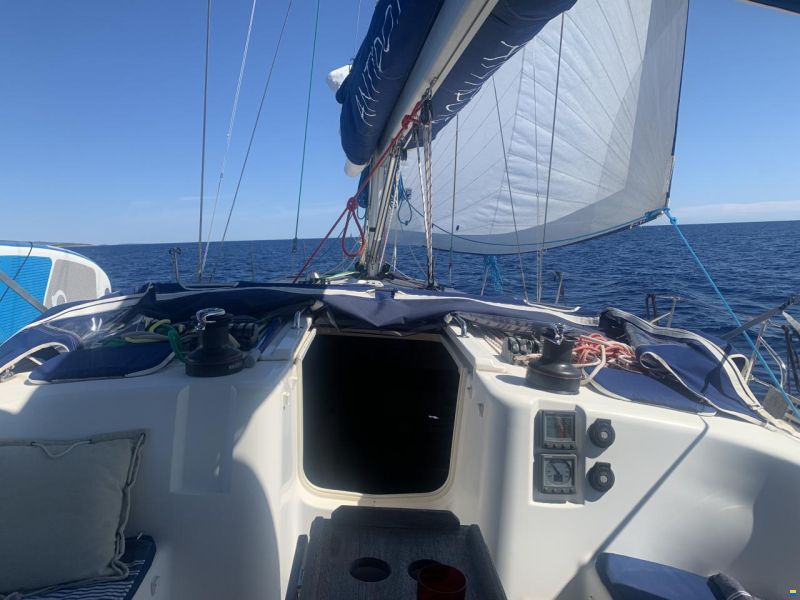 Dufour 455 Grand Large Performance