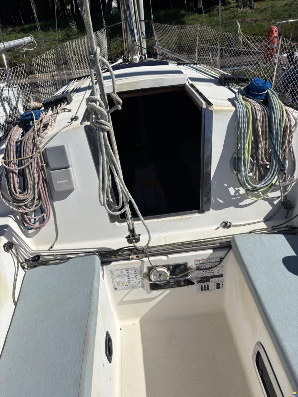Cantiere Alto Adriatico DELTA 31